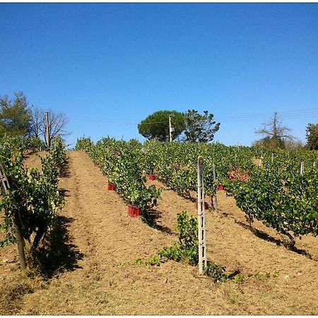 Agriturismo San Giusto Montiano  Buitenkant foto