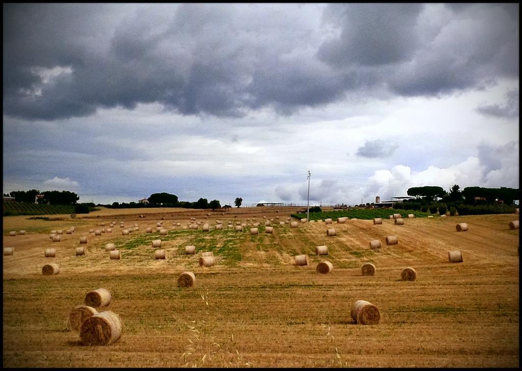 Agriturismo San Giusto Montiano  Buitenkant foto