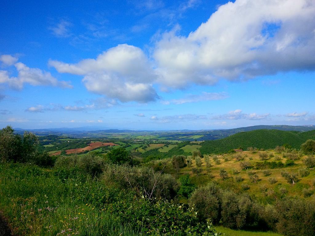 Agriturismo San Giusto Montiano  Buitenkant foto