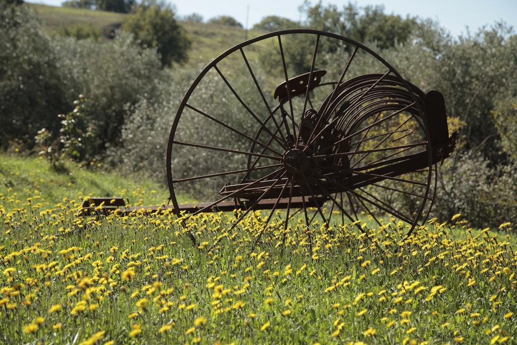 Agriturismo San Giusto Montiano  Buitenkant foto